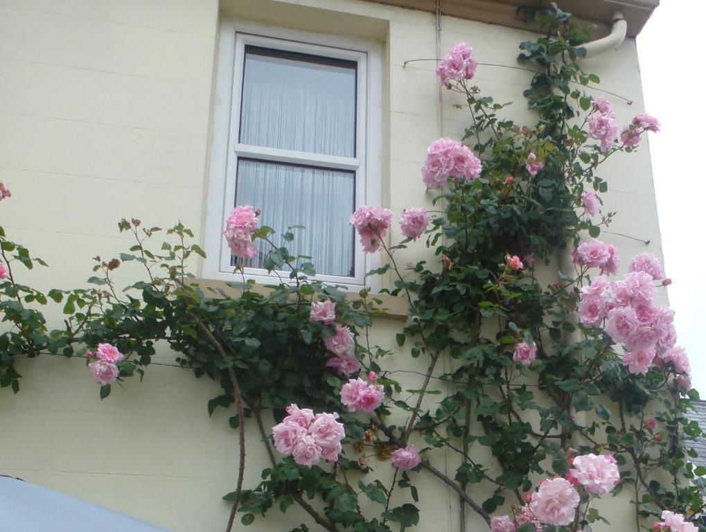 Bayview Guest House Saint Helier Jersey Exteriör bild